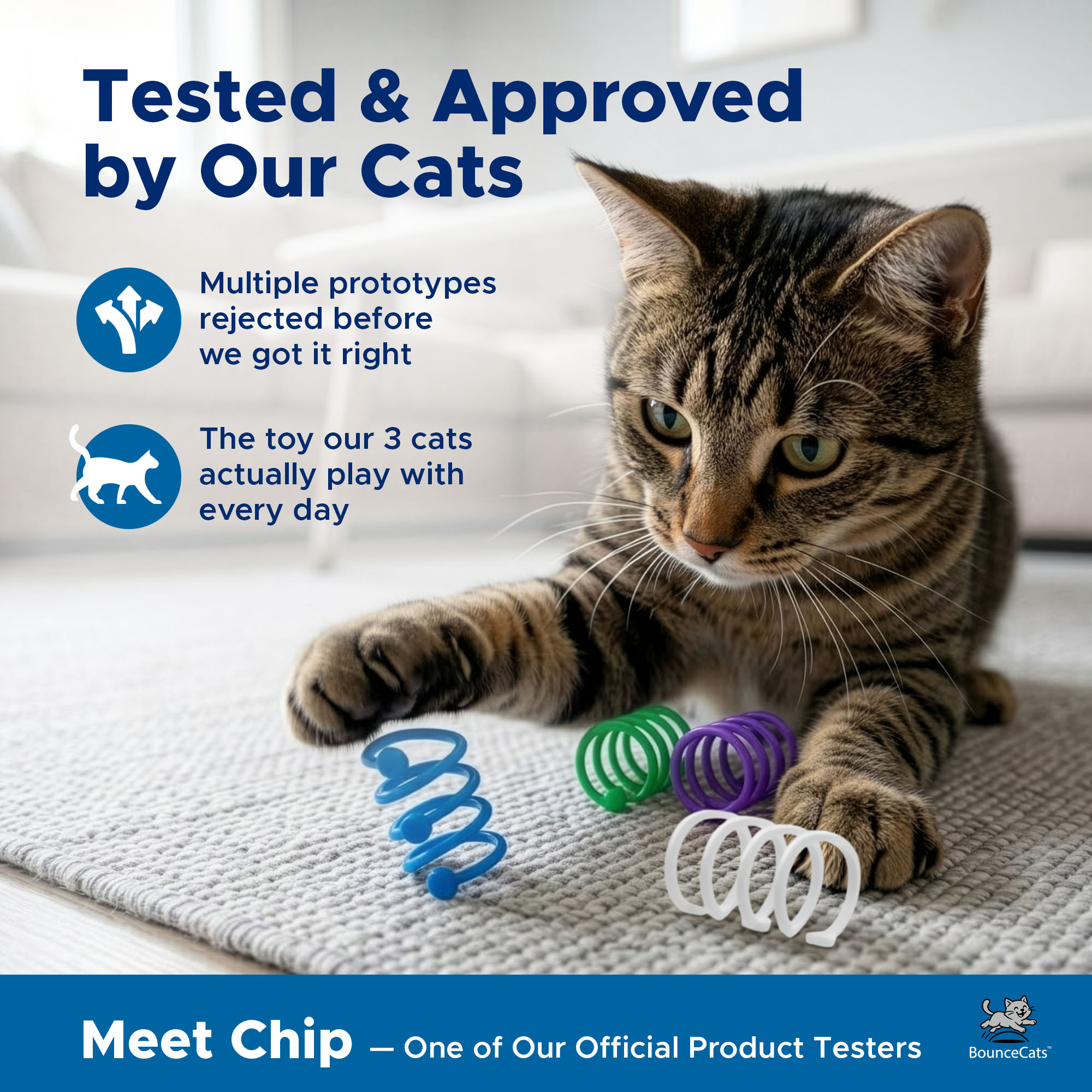 Chip the cat testing BounceCats Silly Springs